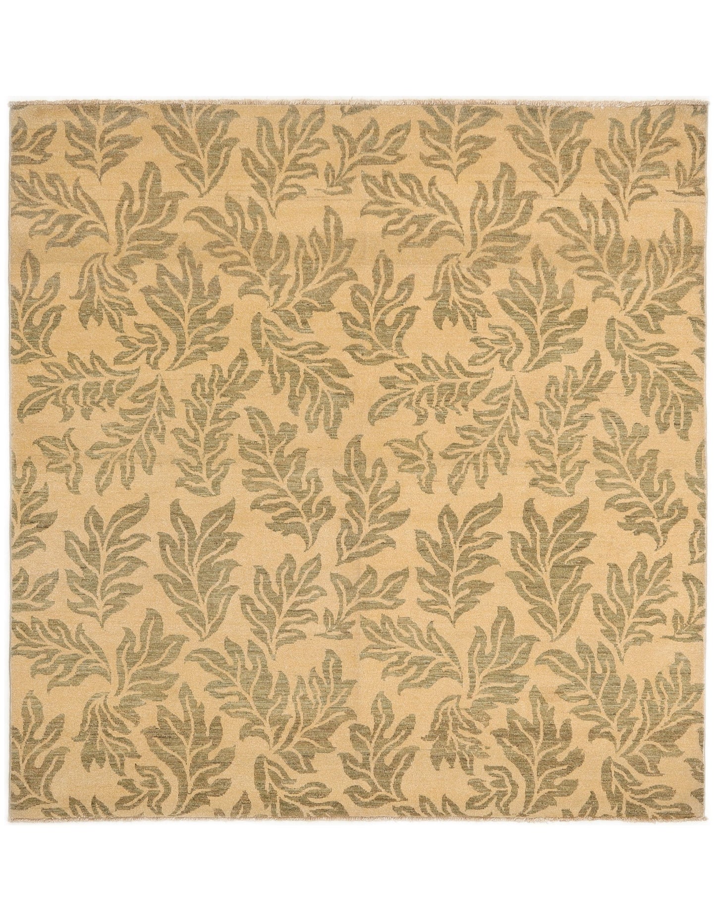 TRANSITIONAL RUGS ( 8 X 8 FT ) -D38967