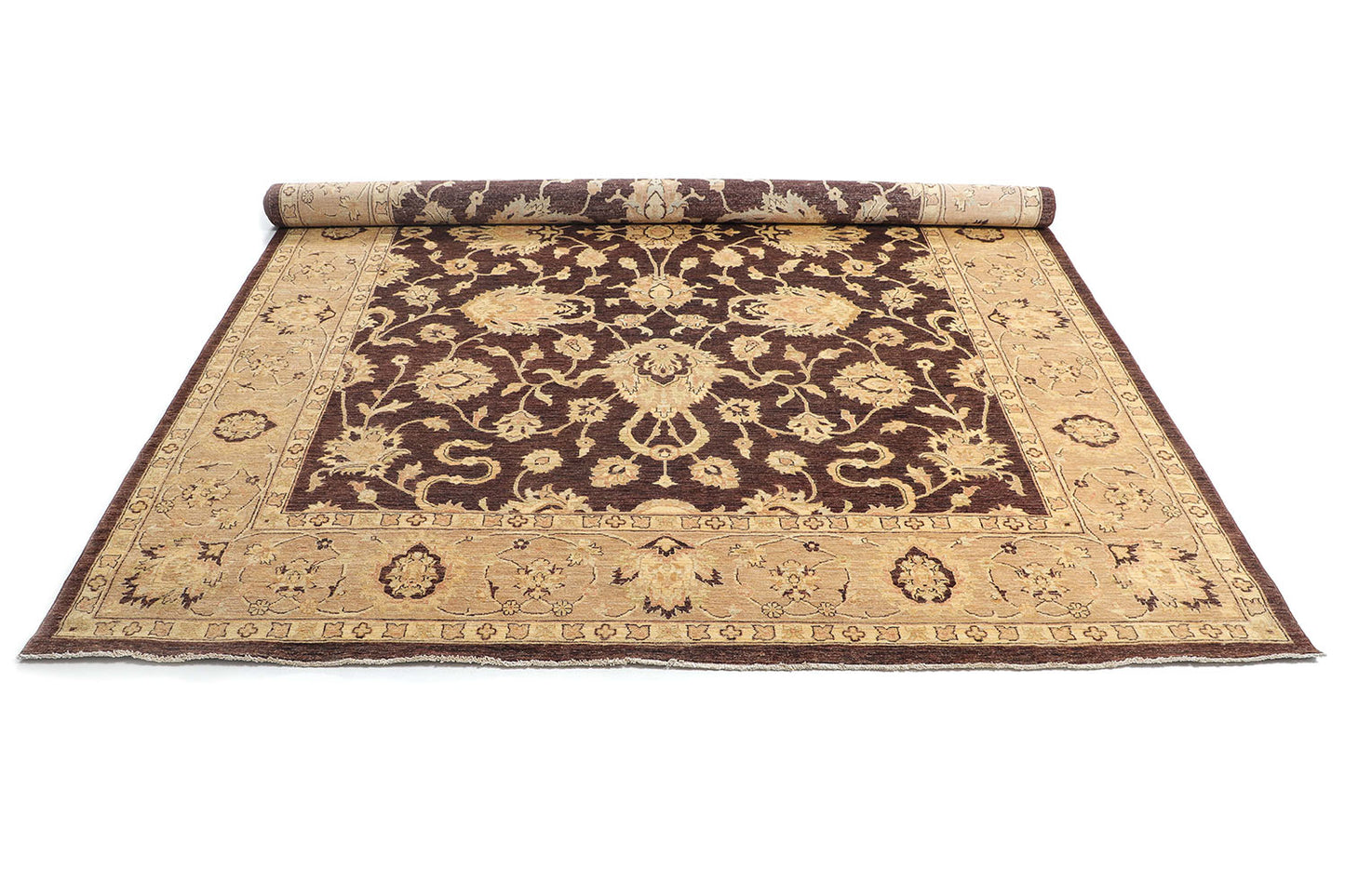 Hand-Knotted Ariana Carpet 9'.7" X 13'.1" Traditional, Brown Fine Wool Area Rug 10x14 D48014