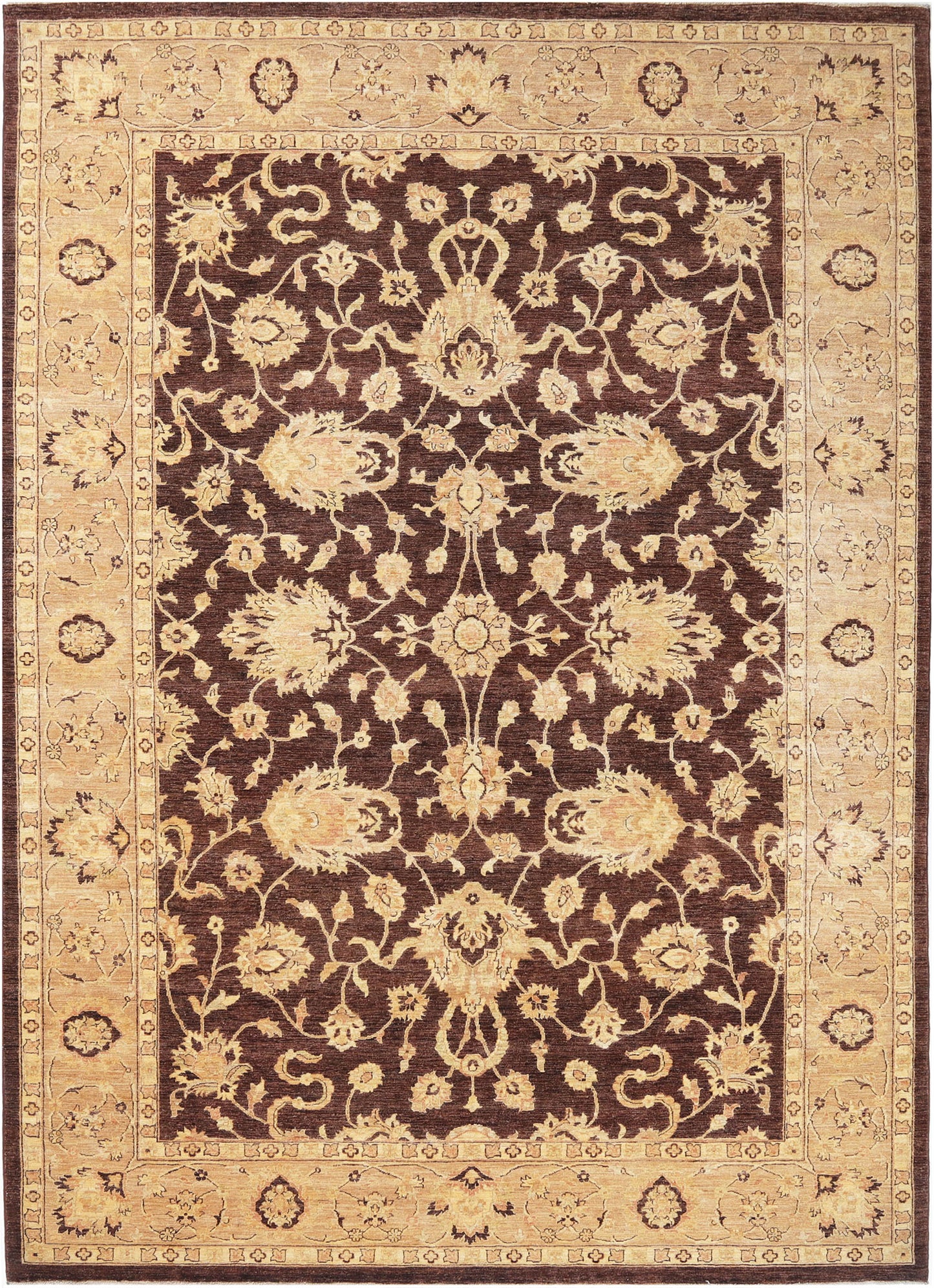 Hand-Knotted Ariana Carpet 9'.7" X 13'.1" Traditional, Brown Fine Wool Area Rug 10x14 D48014