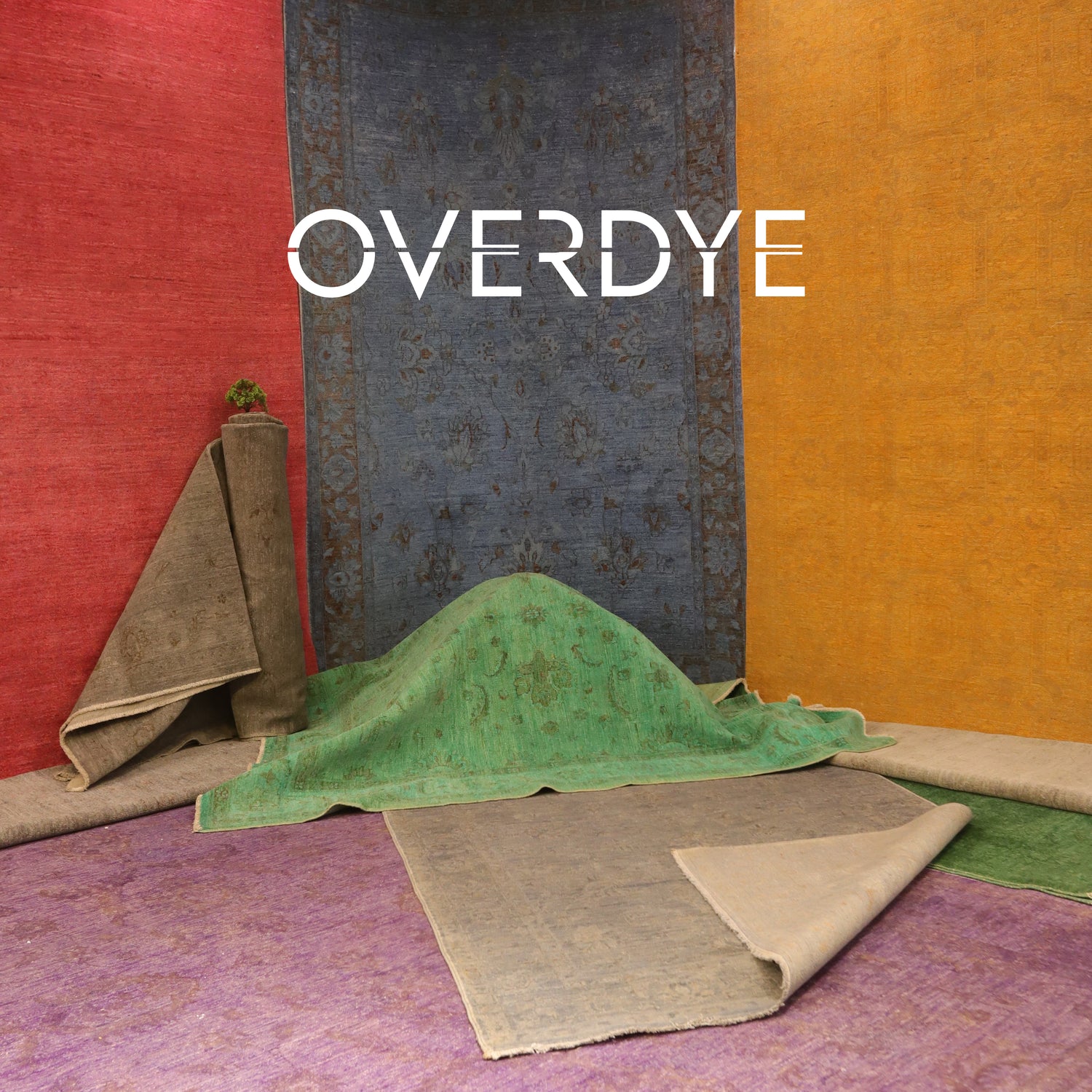 Overdye rugs