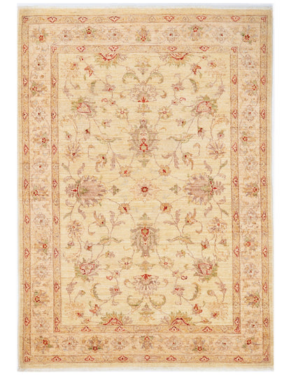 CONTEMPORARY RUGS ( 4 X 6 ) -D37012