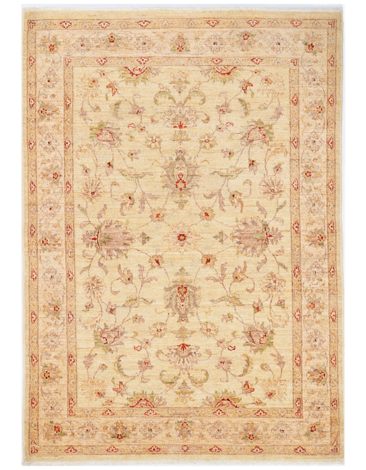 CONTEMPORARY RUGS ( 4 X 6 ) -D37012